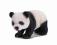 Figurka Młoda panda SLH 14331