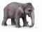 Figurka Słoń indyjski samica SLH 14344
