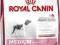 ROYAL CANIN Medium Junior 30 kg GRATIS rottka.pl