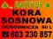 MEGA PROMOCJA!!KORA SOSNOWA Kuj.-Pom. 80L DOWÓZ