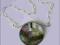 Naszyjnik -  muszla (Haliotis lamellosa)  i srebro