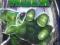 HULK /Eric Bana, Jennifer Connelly/ Blu-ray