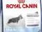 ROYAL CANIN Maxi Junior 1 kg POMÓŻ rottka.pl