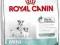 ROYAL CANIN Mini Mother&Babydog 1 kg rottka.pl