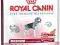 ROYAL CANIN Medium Light27 3,5 kg POMÓŻ rottka.pl