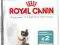 Royal Canin Intense Hairball34 2kg POMÓŻrottka.pl