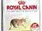 Royal Canin Outdoor30 2kg POMÓŻ rottka.pl