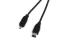 Kabel FireWire 4pin - 6pin 1,8m TREQ (KBC6218)