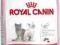 Royal Canin Kitten 36 10kg+2 myszki gratis