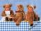 Puzzle Teddy Bears 1000