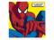 Plakat obraz 40x40cm GBA-SC0333 SPIDERMAN