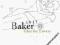 CHET BAKER - FOR LOVERS CD