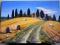 Słońce Toskanii Obraz Olejny WŁOCHY pejzaż 50x70