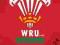 Wales R.U (Crest) - plakat 61x91,5 cm