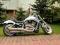 harley v rod