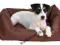 LLEGOWISKO DLA PSA DRAGO 60x50cm BRĄZOWE TX-37851