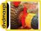 dvdmaxpl VARIOUS: SOUTH AFRICAN TRADITIONAL FOLK M