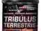 HI TEC Tribulus Terrestris - 60 kaps. HURTOWNIA