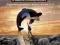 UWOLNIĆ ORKĘ   Free Willy  DVD FOLIA