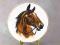 dekoracyjny talerzyk-motyw konia koń konik