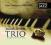 JAGODZIŃSKI TRIO  - WAROWNYM GRODEM cd