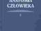 Anatomia człowieka t.5 Adam Bochenek -NOWA