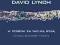 W pogoni za wielką rybą David Lynch -NOWA