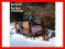 The Spirit Of Christmas, Charles Ray [nowa]
