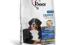 1ST CHOICE DOG SENIOR MEDIUM & LARGE BREEDS 14
