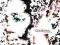 AA13C CESARIA EVORA CLUB SODADE (REMIX ALBUM) (CD)