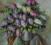 Kwiaty,bzy,obraz olejny,50x60cm,ARTE