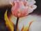 Tulipan,kwiaty,obraz olejny,50x60cm,ARTE