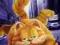 GARFIELD DVD