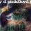 PINK FLOYD-A Saucerful Of Secrets Folia!!! okazja