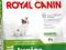 ROYAL CANIN X-SMALL JUNIOR 14KG + GRATIS