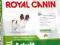 Royal Canin, Adult X-SMALL 11kg + GRATIS
