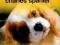 PIES NA MEDAL CAVALIER KING CHARLES SPANIEL [BOOK]