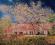 CLAUDE MONET Wiosna w Giverny 90x60