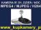 Kamera IP H.264, MPEG4, MJPEG, AUDIO, DZIEŃ/NOC