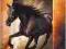 Adventures of the Black Stallion: the Complete Fir