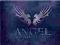 Angel - Seasons 1-5 30-Disc DVD Collector's Set