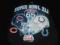 NFL SUPER BOWL XLI BEARS COLTS T-SHIRT REEBOK (XL)