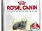 Royal Canin Indoor Mature27 400g POMÓŻ rottka.pl