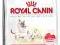 Royal Canin Babycat34 400g POMÓŻ rottka.pl