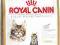Royal Canin Kitten Maine Coon36 4 kg rottka.pl