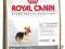 ROYAL Yorkshire Terrier29 JUNIOR 1.5kg rottka.pl
