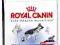 ROYAL CANIN Maxi Adult26 30 kg GRATIS rottka.pl
