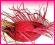 KAPELUSZ hawajski słomkowy ciemny róż PLAŻOWY 6185