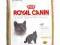 Royal Canin British Shorthair 34 - 10kg.