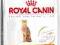 Royal Canin Exigent 42 Protein preference - 10kg.